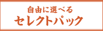 自由に選べるセレクトパック